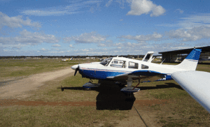 Fly free weekends for Bankstown